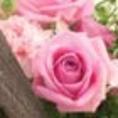 Rosy Flower Basket